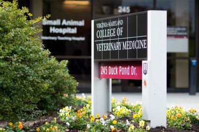 Home | Virginia-Maryland College of Veterinary Medicine | Virginia Tech