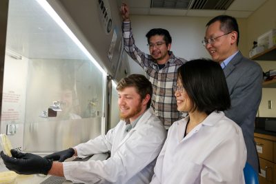 Four scientists stand around a hood.