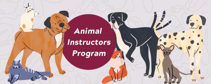 Animal Care for Education | Virginia-Maryland College of Veterinary  Medicine | Virginia Tech