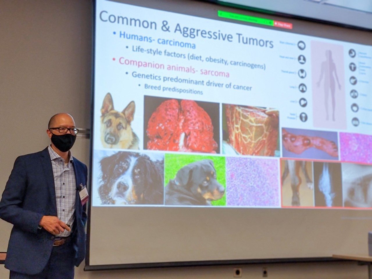 Tim Fan (DVM '95) presenting at the Connect 2021 Continuing Education Seminars.
