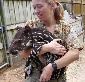 Lauren Howard (DVM '00) with tapir