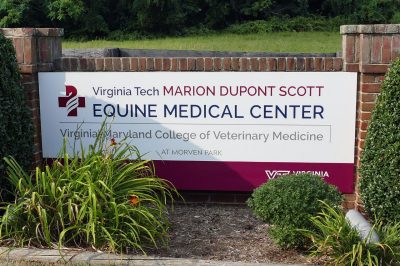 Equine Medical Center entrance signage