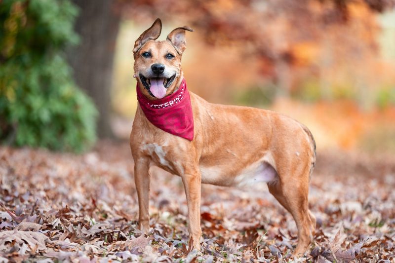 Macy poses for some stock photos in the Grove.