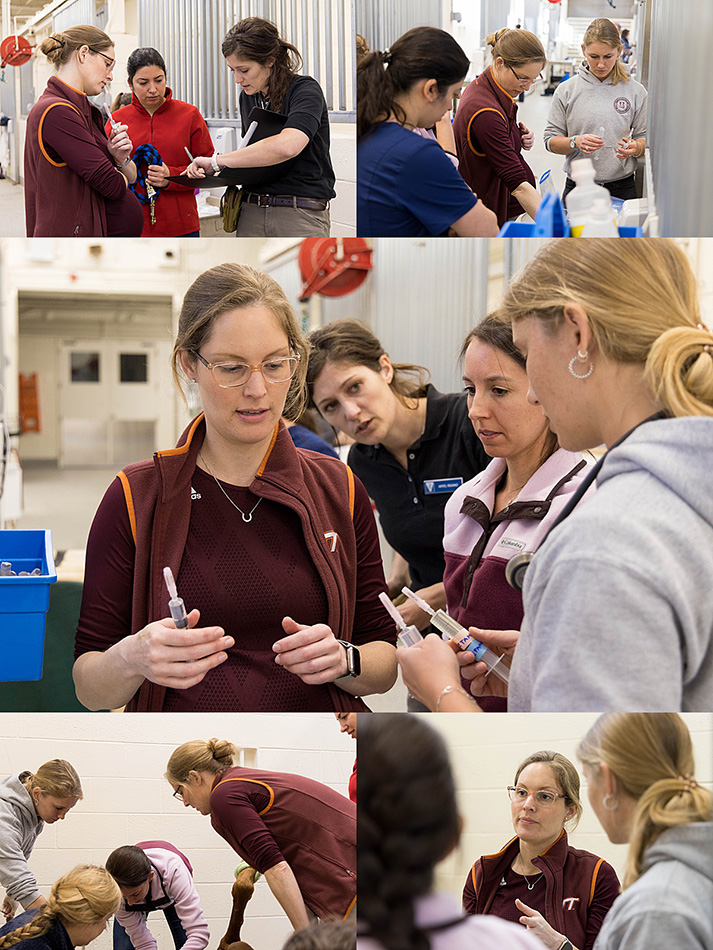 Collage of Sophie Bogers working with students.