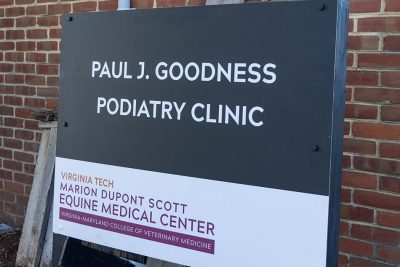 New signage for the Paul J. Goodness Podiatry Clinic.