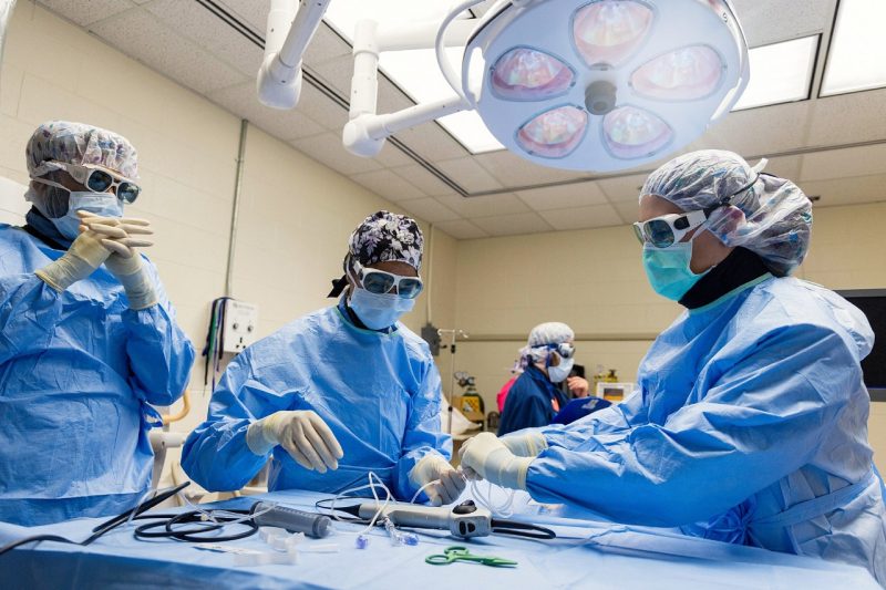 Veterinary professions in full PPE in an operating room.