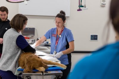 Third-year DVM elective course on rehab techniques in the Veterinary Teaching Hospital. 