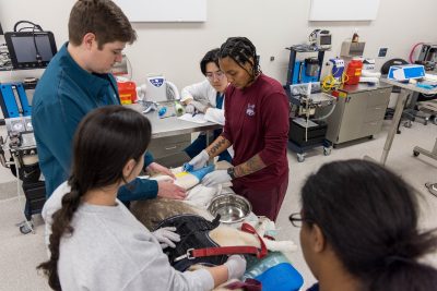 Third-year DVM elective course on rehab techniques in the Veterinary Teaching Hospital. 