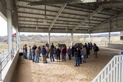 Group of people standing in an outdoor cow arena.