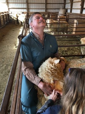 Dr. Kevin Pelzer hugging a sheep in a barn.