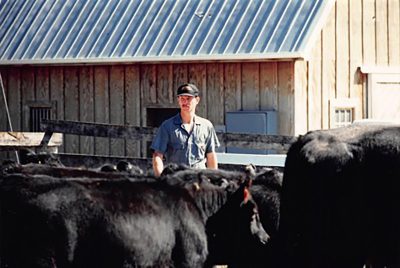 Terry Swecker standing in a herd of cows.