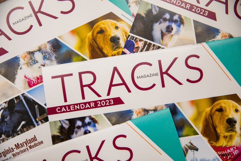 Copies of the 2023 'Tracks' calendar laying out on a table.