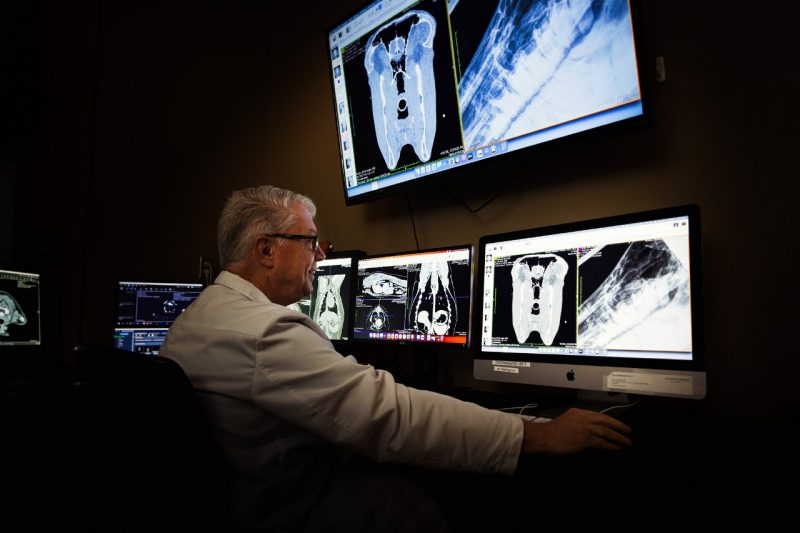 A veterinarian sitting infront of imaging screens in a dark office.