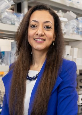 Headshot of Dr. Sahar Abdelrazek, Research Associate Professor in the department of Biomedical Sciences and Pathobiology at the Virginia-Maryland College of Veterinary Medicine.
