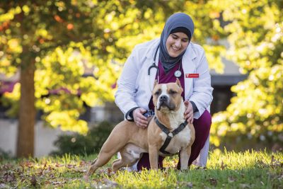 A veterinary student in a white coat leans down to pet a brown and white dog. 