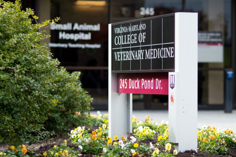 Veterinary Teaching Hospital at Virginia-Maryland College of Veterinary Medicine