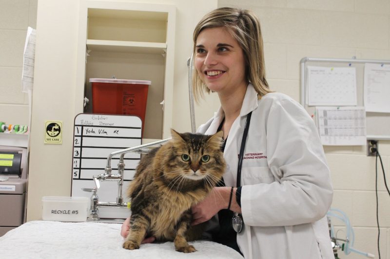 Jessica Villm, small animal clinical sciences internal medicine resident, and her cat, Yoda