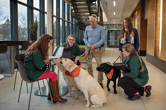 Virginia Tech counselors Trent Davis and Sarah Dunleavy with therapy dogs Derek, Moose, and Wagner visit VA-MD Vet Med DVM students 