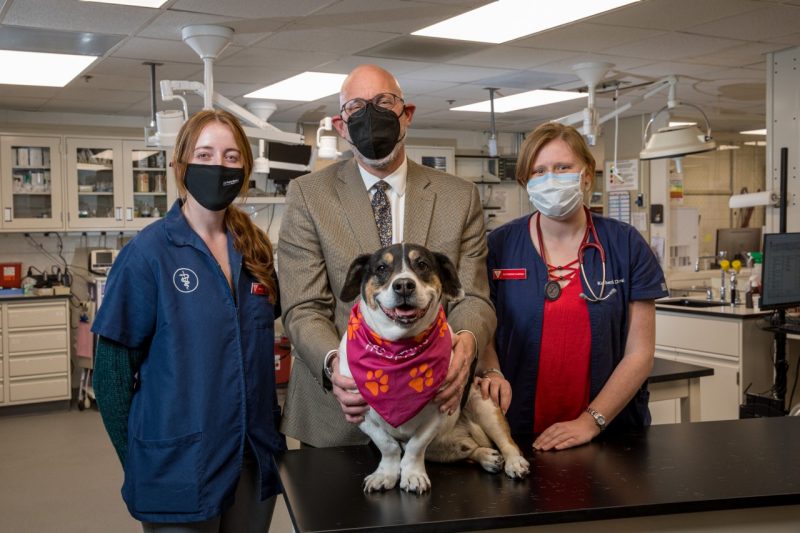 Fourth-year veterinary students with Dean M. Daniel Givens and his dog, Tag.