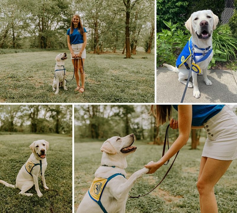 Collage of photos of a woman and a yellow lab.