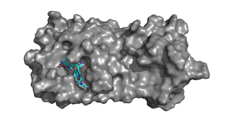 A computer rendering of a protein molecule surrounded by gray matter which represents the newly designed functionalized drug