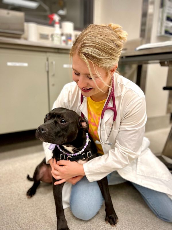 Veterinary professional holding a black dog.
