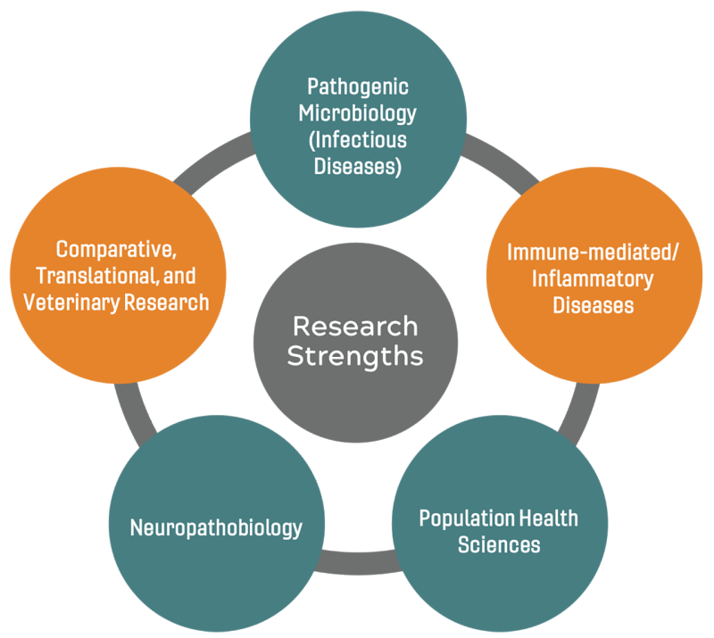 Research Focus Areas 2021