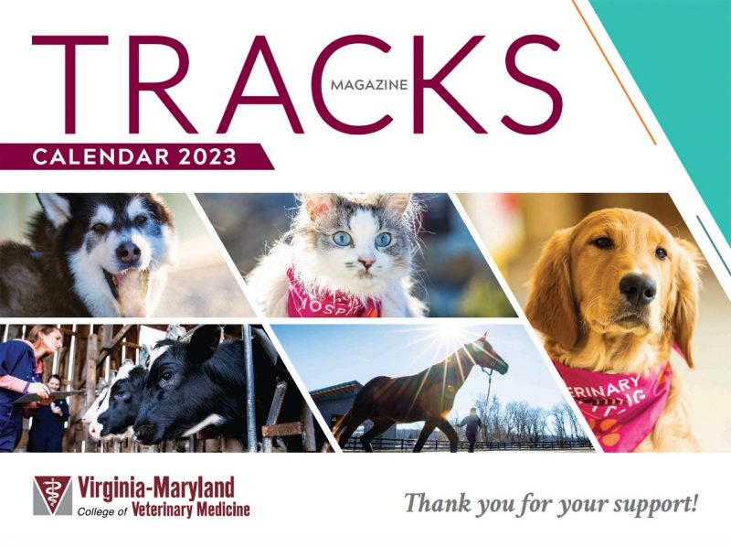 Cover of the 2023 Tracks Magazine calendar.