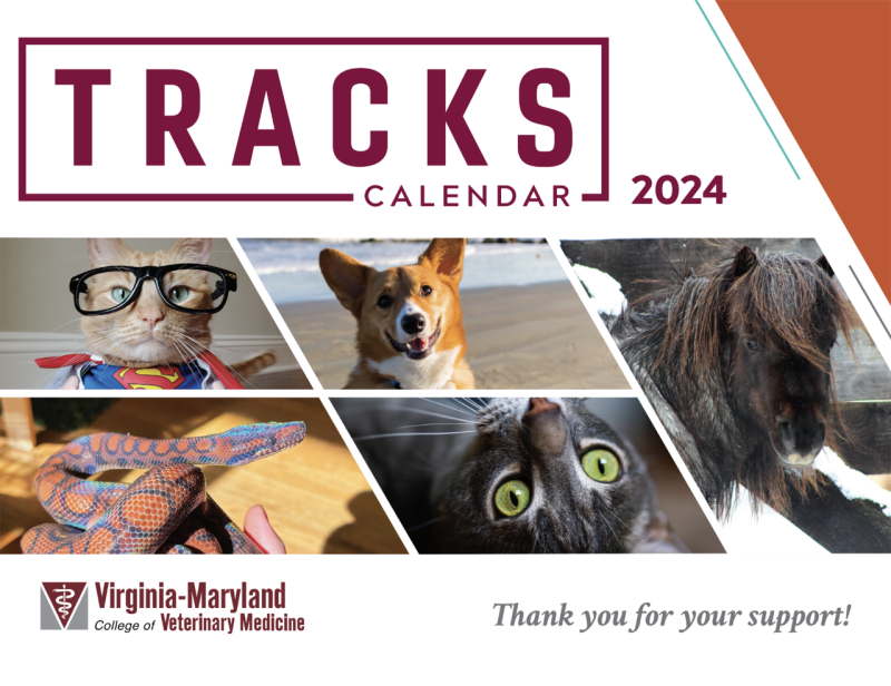 Cover of the 2024 Tracks Magazine calendar.