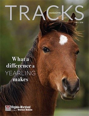 Tracks Magazine, fall 2019